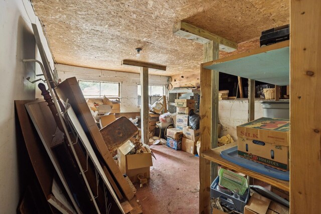 1319 Main St N, Carthage, TN 37030 - view of storage room