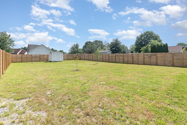 3019 Easy Goer Ln, Greenbrier, TN 37073 - view of yard