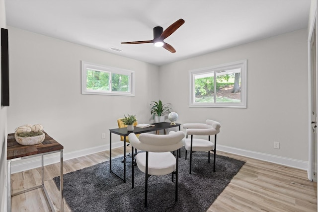 2605 Avalon Hl, Chattanooga, TN 37415 - dining room with plenty of natural light, light wood-style flooring, baseboards, and a ceiling fan