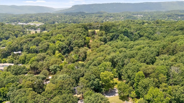 2605 Avalon Hl, Chattanooga, TN 37415 - drone / aerial view of a heavily wooded area and a mountainous background