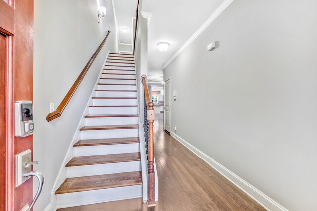 938A Strouse Ave, Nashville, TN 37206 - photo 5