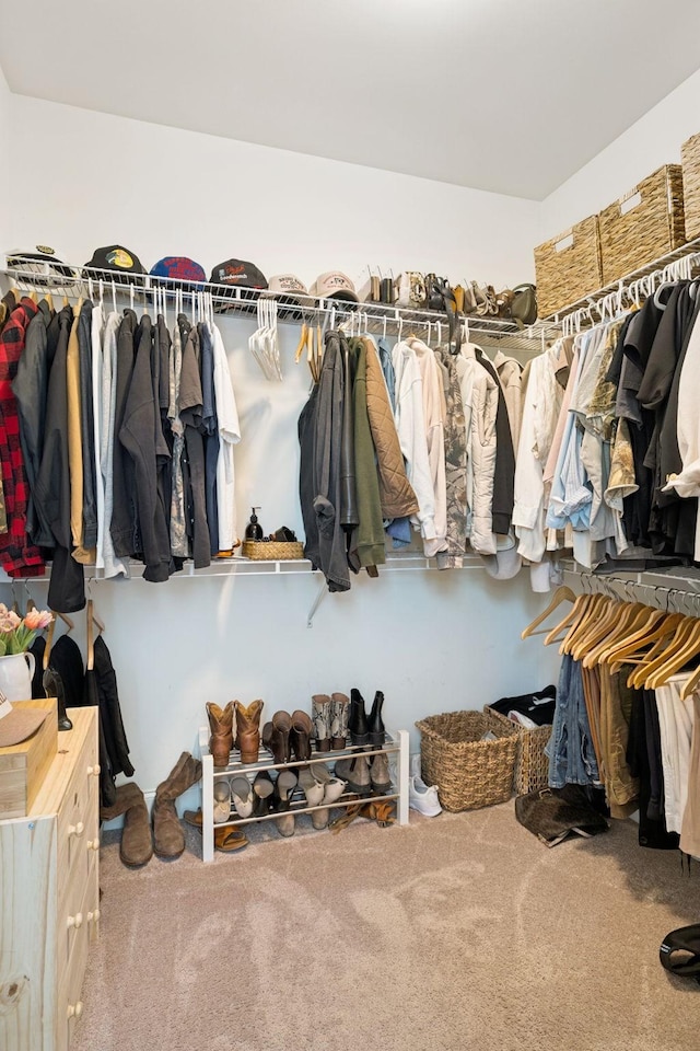 1074 Cantwell Pl, Spring Hill, TN 37174 - spacious closet featuring carpet flooring