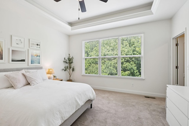 1074 Cantwell Pl, Spring Hill, TN 37174 - bedroom with a tray ceiling, light colored carpet, baseboards, and ceiling fan