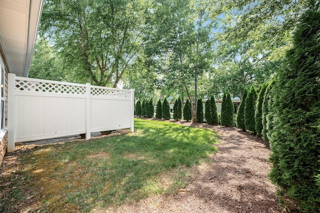 2342 N Tennessee Blvd Unit 601, Murfreesboro, TN 37130 - view of yard