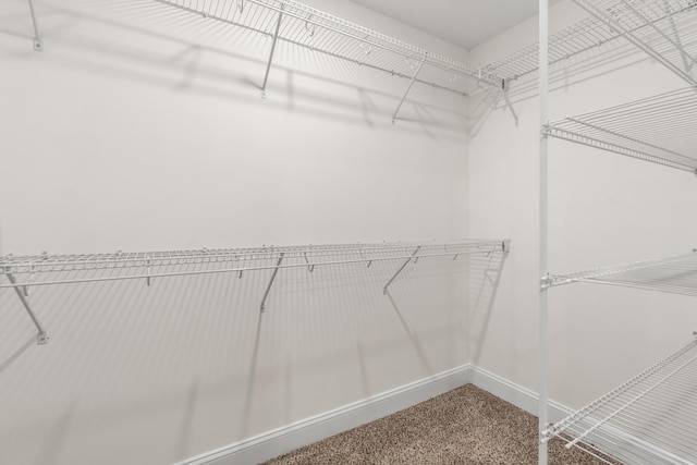 235 Cardinal Crk, Clarksville, TN 37040 - photo 18