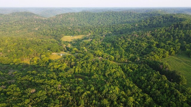 1441 Bradyville Hill Rd, Bradyville, TN 37026 - photo 28