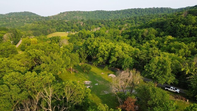 1441 Bradyville Hill Rd, Bradyville, TN 37026 - photo 25