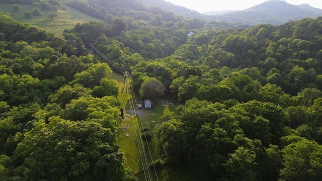 1441 Bradyville Hill Rd, Bradyville, TN 37026 - photo 24