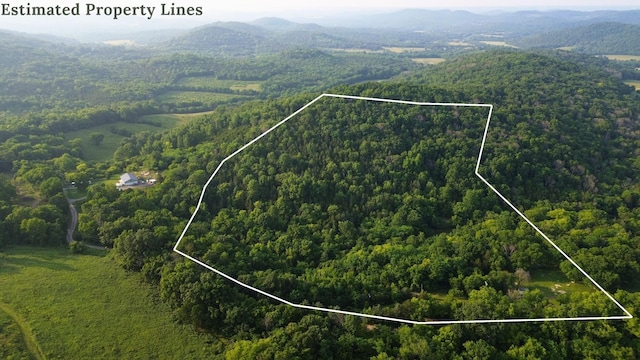1441 Bradyville Hill Rd, Bradyville, TN 37026 - photo 2