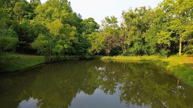 1441 Bradyville Hill Rd, Bradyville, TN 37026 - photo 1