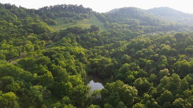1441 Bradyville Hill Rd, Bradyville, TN 37026 - photo 15