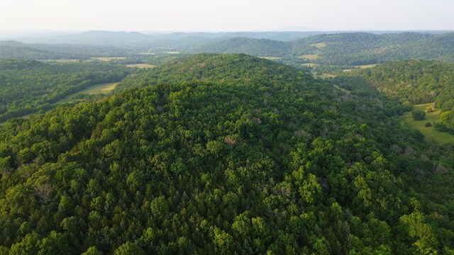 1441 Bradyville Hill Rd, Bradyville, TN 37026 - photo 29
