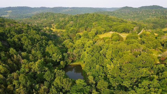 1441 Bradyville Hill Rd, Bradyville, TN 37026 - photo 21