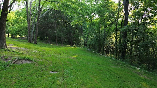 1441 Bradyville Hill Rd, Bradyville, TN 37026 - photo 18