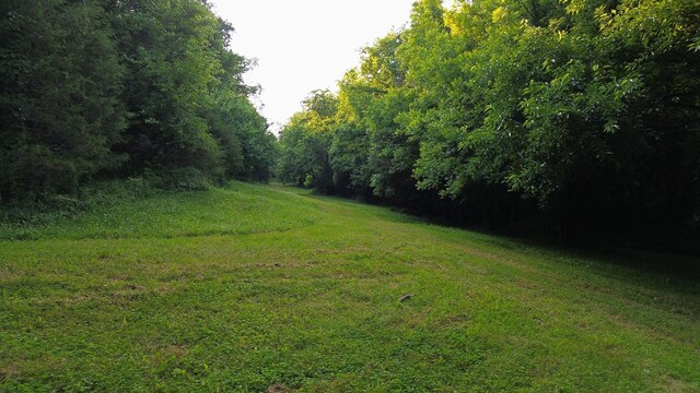 1441 Bradyville Hill Rd, Bradyville, TN 37026 - photo 6