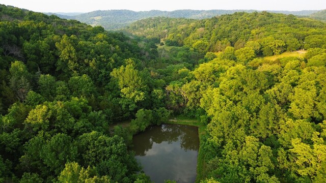 1441 Bradyville Hill Rd, Bradyville, TN 37026 - photo 5