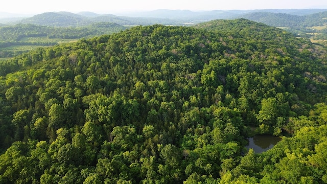 1441 Bradyville Hill Rd, Bradyville, TN 37026 - photo 22