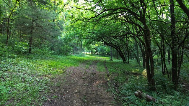 1441 Bradyville Hill Rd, Bradyville, TN 37026 - photo 12