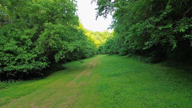 1441 Bradyville Hill Rd, Bradyville, TN 37026 - photo 11
