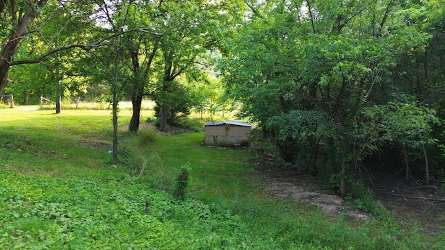 1441 Bradyville Hill Rd, Bradyville, TN 37026 - photo 19