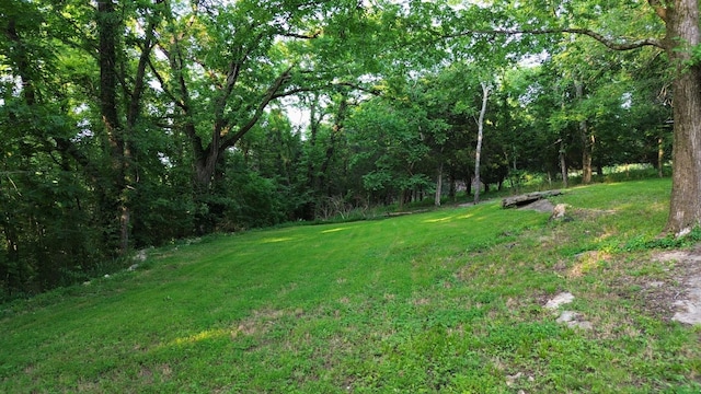 1441 Bradyville Hill Rd, Bradyville, TN 37026 - photo 17