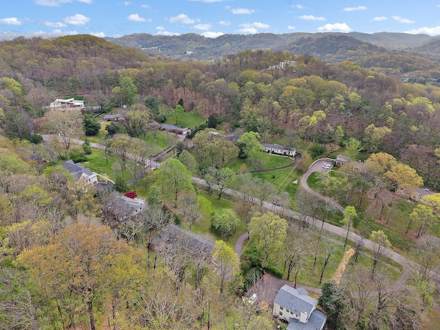 6121 Chickering Ct, Nashville, TN 37215 - photo 10