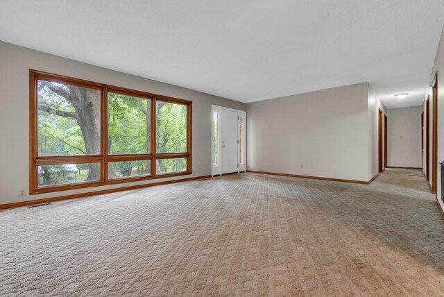 5595 Denmark Rd, Erin, TN 37061 - spare room featuring healthy amount of natural light, light carpet, and baseboards