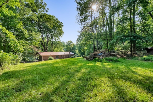 5595 Denmark Rd, Erin, TN 37061 - view of grassy yard