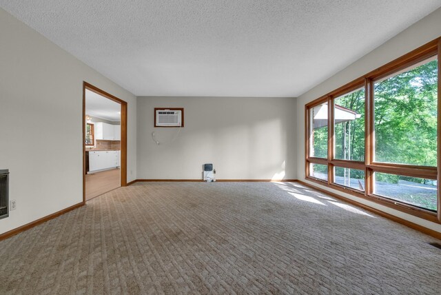 5595 Denmark Rd, Erin, TN 37061 - spare room featuring healthy amount of natural light, carpet, baseboards, a wall mounted AC, and a textured ceiling