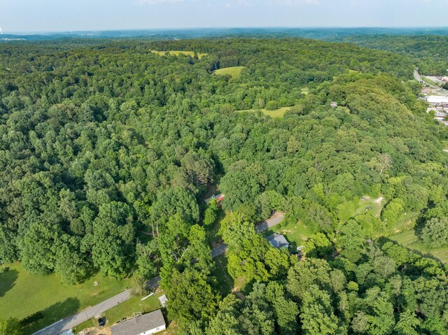 5595 Denmark Rd, Erin, TN 37061 - aerial view of property's location featuring a heavily wooded area