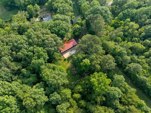 5595 Denmark Rd, Erin, TN 37061 - aerial overview of property's location featuring a heavily wooded area