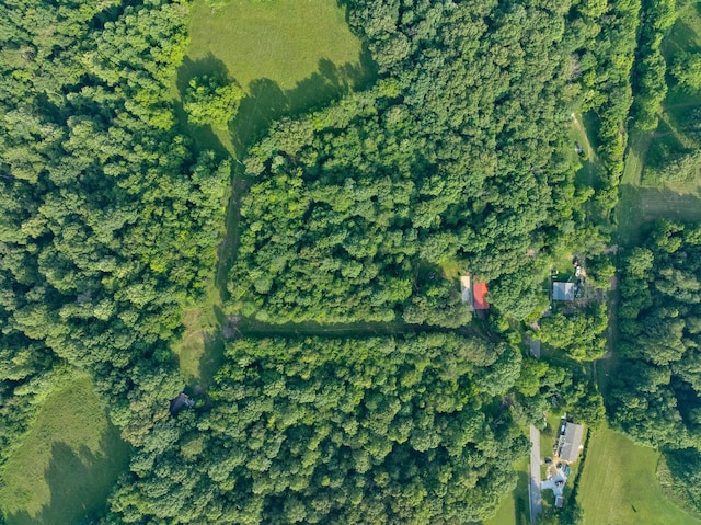 5595 Denmark Rd, Erin, TN 37061 - aerial view of property's location