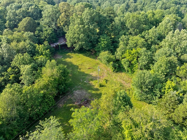 5595 Denmark Rd, Erin, TN 37061 - view from above of property featuring a heavily wooded area