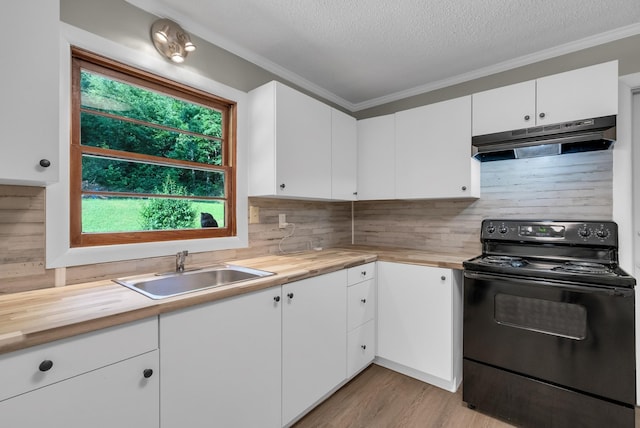 5595 Denmark Rd, Erin, TN 37061 - kitchen with black range with electric cooktop, under cabinet range hood, butcher block countertops, a sink, and ornamental molding