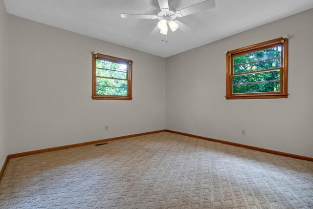 5595 Denmark Rd, Erin, TN 37061 - carpeted spare room with baseboards and ceiling fan