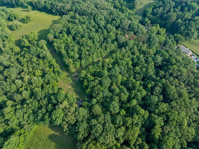 5595 Denmark Rd, Erin, TN 37061 - aerial overview of property's location with a forest