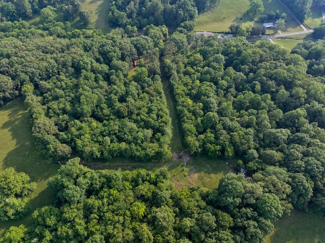5595 Denmark Rd, Erin, TN 37061 - drone / aerial view of a heavily wooded area