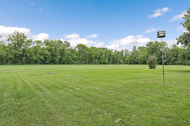 402 Upper Station Camp Crk Rd, Gallatin, TN 37066 - photo 39