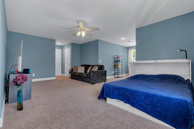 314 Crusaw Dr, Clarksville, TN 37043 - photo 26