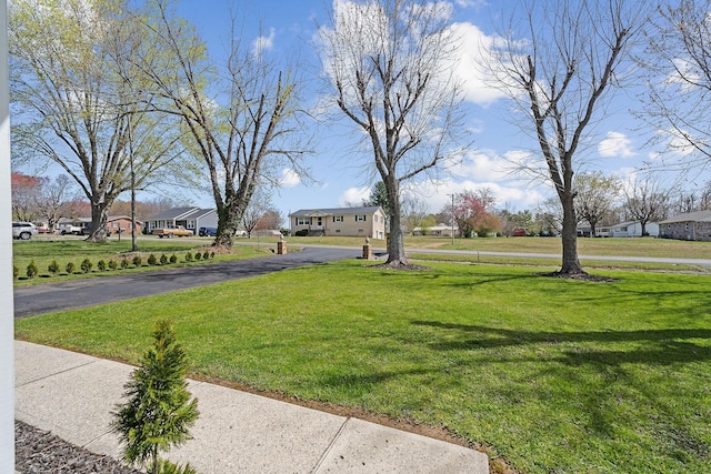 645 Parkway Dr, Smithville, TN 37166 - photo 5
