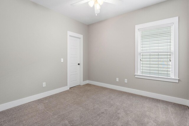 1511D Ann St, Nashville, TN 37216 - photo 19