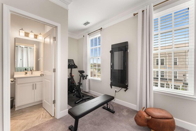104 Burkitt Commons Ave, Nolensville, TN 37135 - exercise area featuring crown molding, baseboards, and light carpet