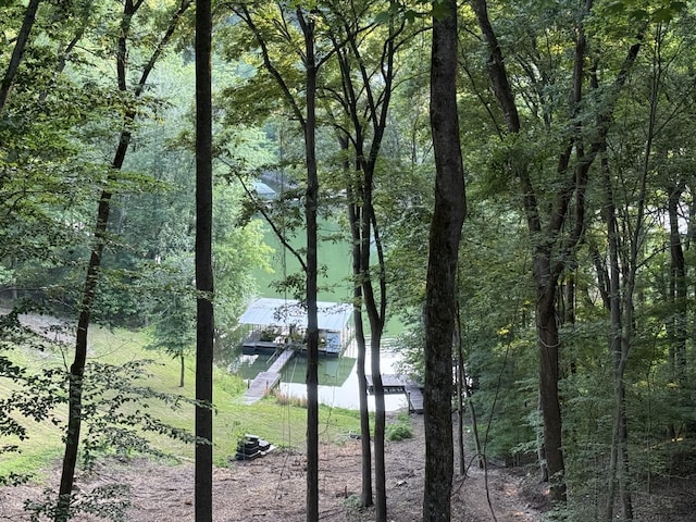 1530 Ridgeview Run, Lynchburg, TN 37352 - water view with a heavily wooded area