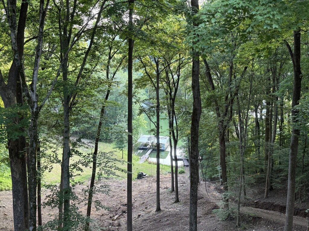 1530 Ridgeview Run, Lynchburg, TN 37352 - water view with a forest