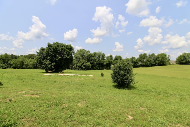212 Southern Downs Dr, Lexington, TN 38351 - photo 16