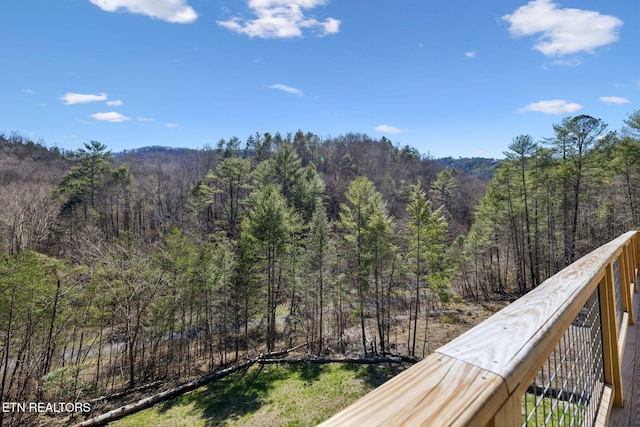 330 Rainbow Cir, Townsend, TN 37882 - photo 38