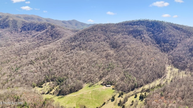 330 Rainbow Cir, Townsend, TN 37882 - photo 48