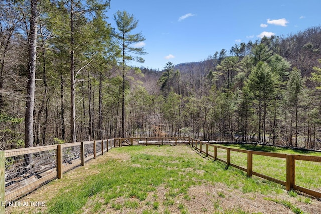 330 Rainbow Cir, Townsend, TN 37882 - photo 44