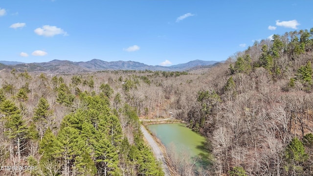 330 Rainbow Cir, Townsend, TN 37882 - photo 47