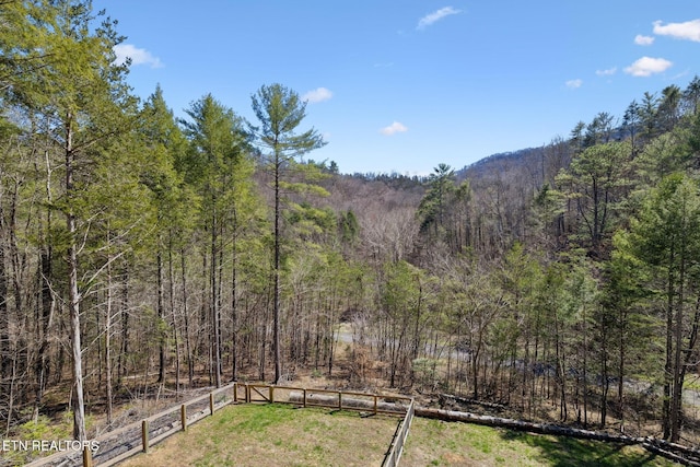 330 Rainbow Cir, Townsend, TN 37882 - photo 37